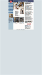 Mobile Screenshot of moldinspectionkit.com